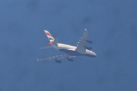G-XLEF
